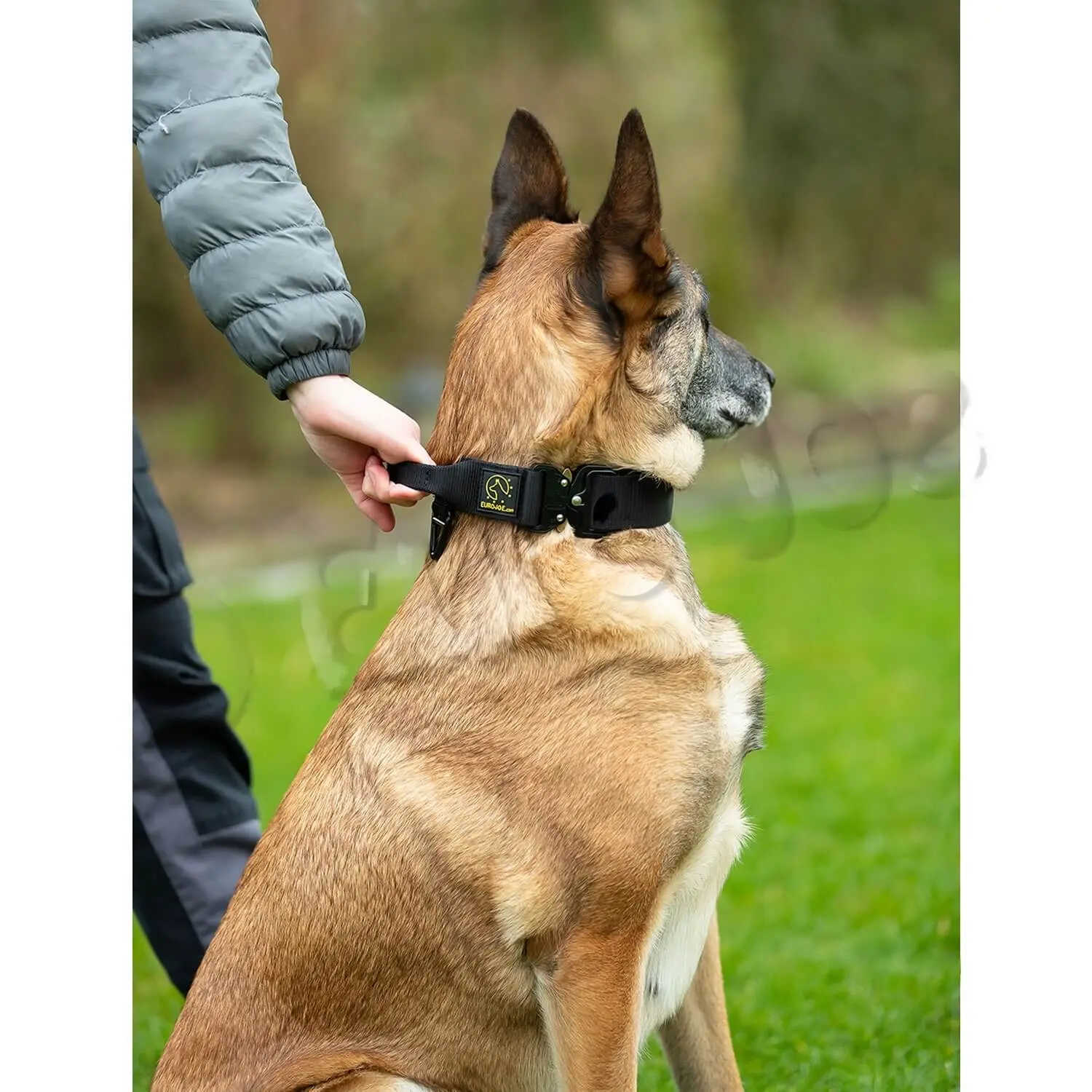 Zgarda tactica 2.0 EuroJoe XL, cu maner, negru