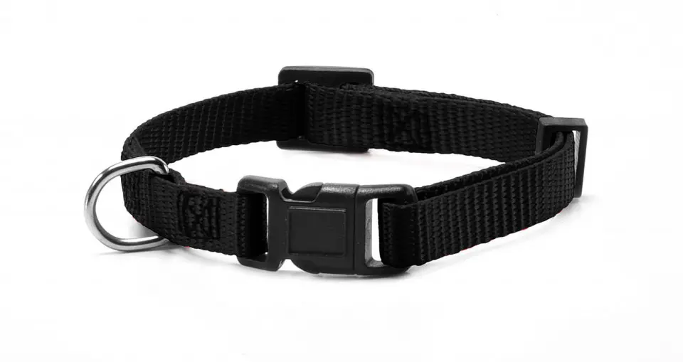 Zgarda nylon, neagra, confortabila, 48-73 cm x 2.5 cm