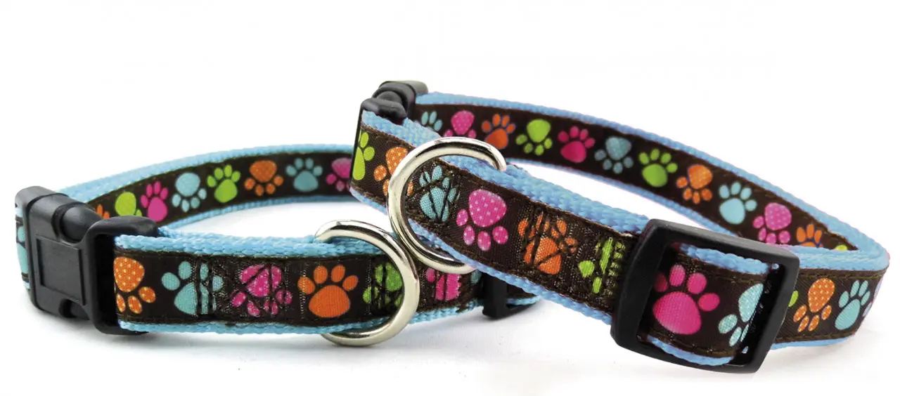 Zgarda nylon, albastra, confortabila, 45-50 cm x 2 cm