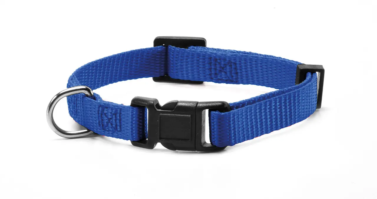 Zgarda reglabila din nylon, albastra, confortabila, 33-40 cm x 1.5 cm