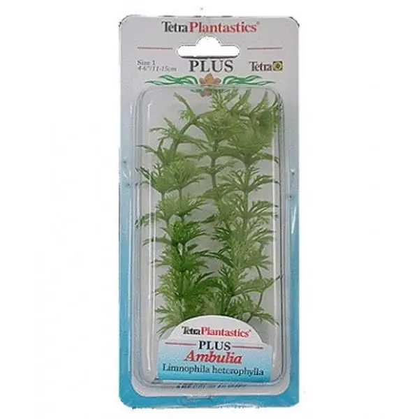 Tetraplant Ambulia 30 cm