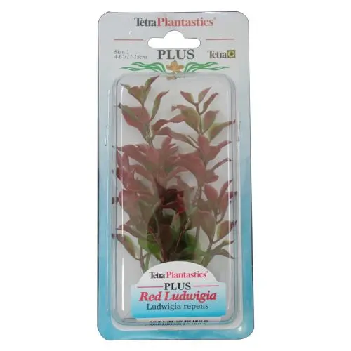 Tetraplant Red Ludwigia 23 cm