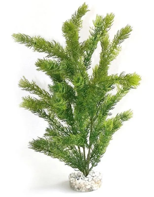 Sydeco Plante Sea Pearl 35cm 349658