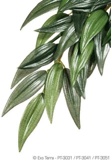 Exo Terra Planta Ruscus Medium 55 CM PT3041