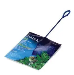 Marina Mincioc Alb 12.5 cm