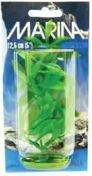 Marina Plante Hygrophila 12,5 cm PP513