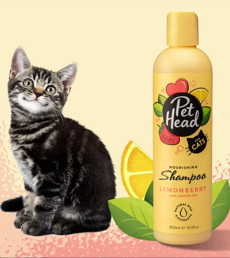 Pet Head Sampon Feelin' Good 300 ml