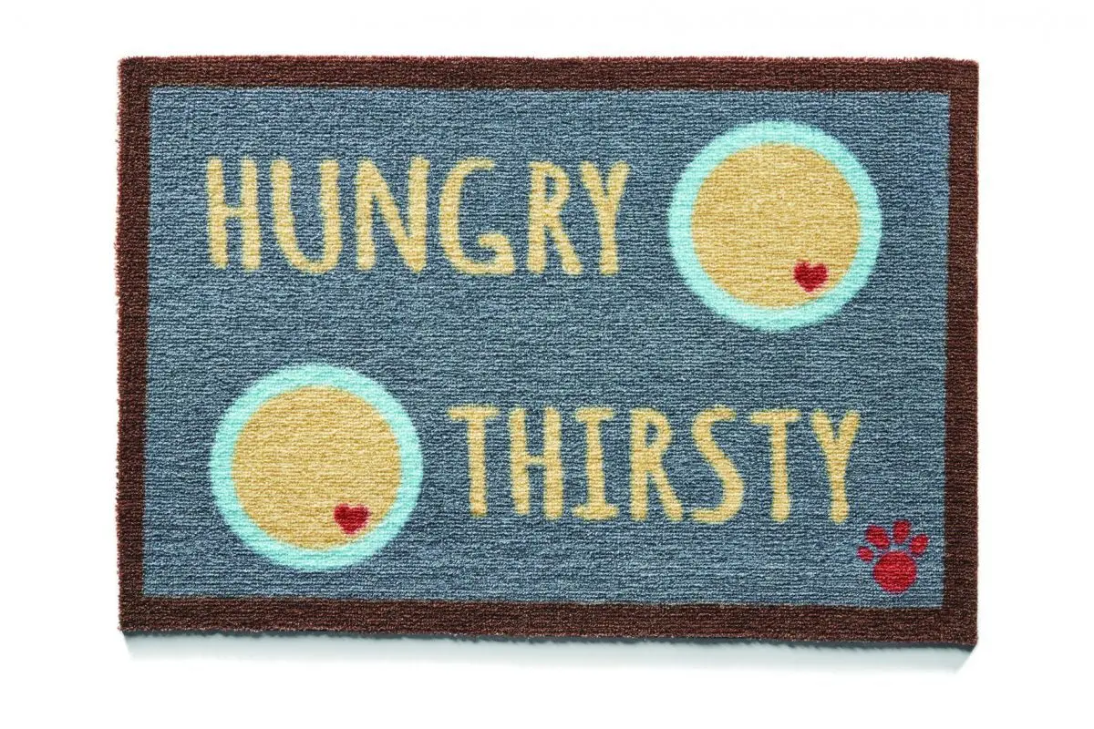 Hug&Rug Covoras 40X60 cm Hungry 6