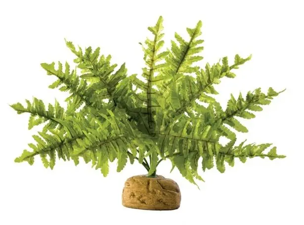 Exo Terra Planta Boston Fern Medium PT2995