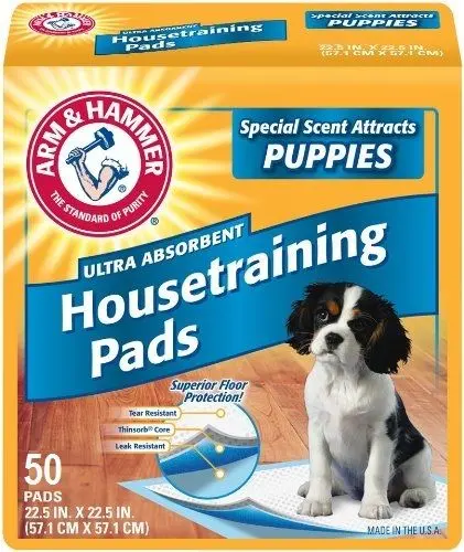 Fresh'N Clean Covor Absorbant Puppy 57X57cm/ 50 Buc
