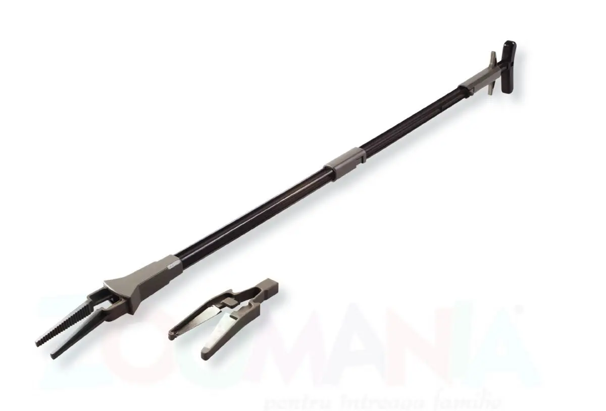 Marina Cleste Plante 11012