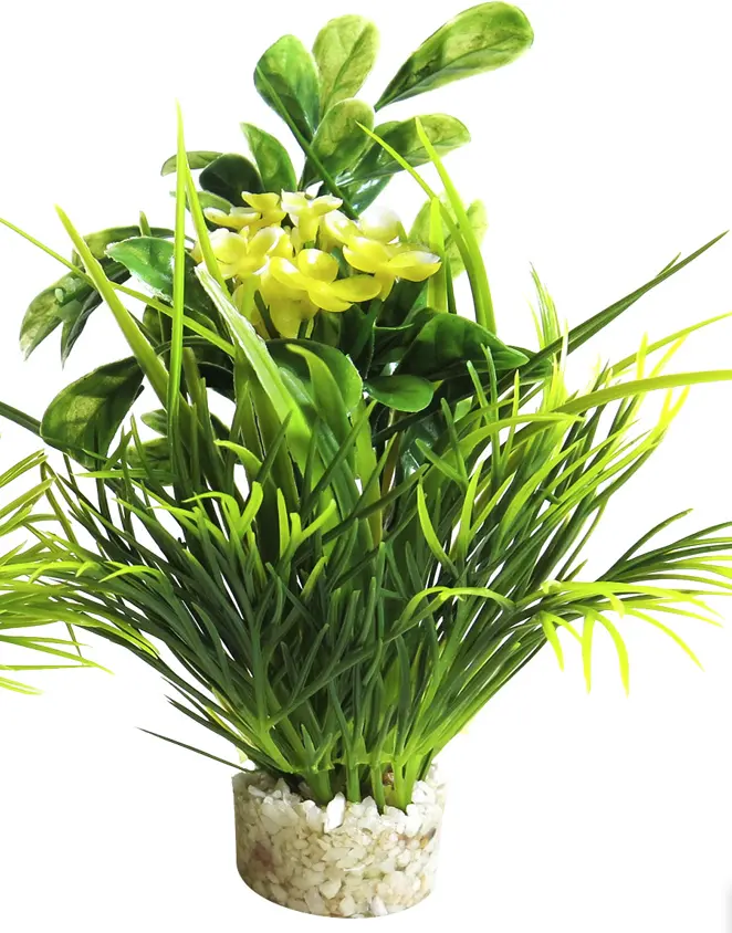 Sydeco Planta Blooming 15 cm 350116
