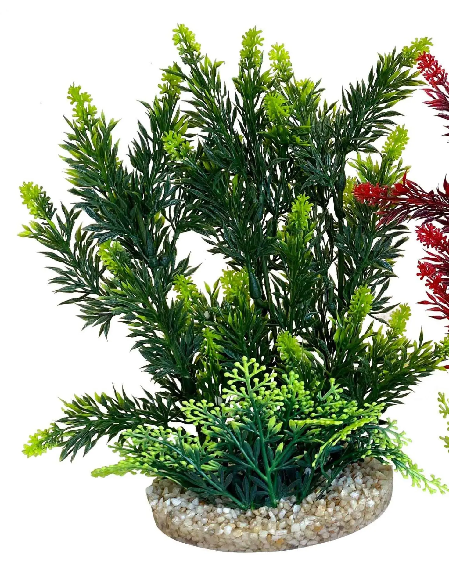 Sydeco Planta Hedge 24 cm 349708