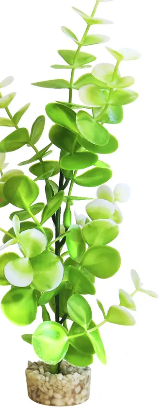 Sydeco Planta Water Eucalyptus 22 cm 350118