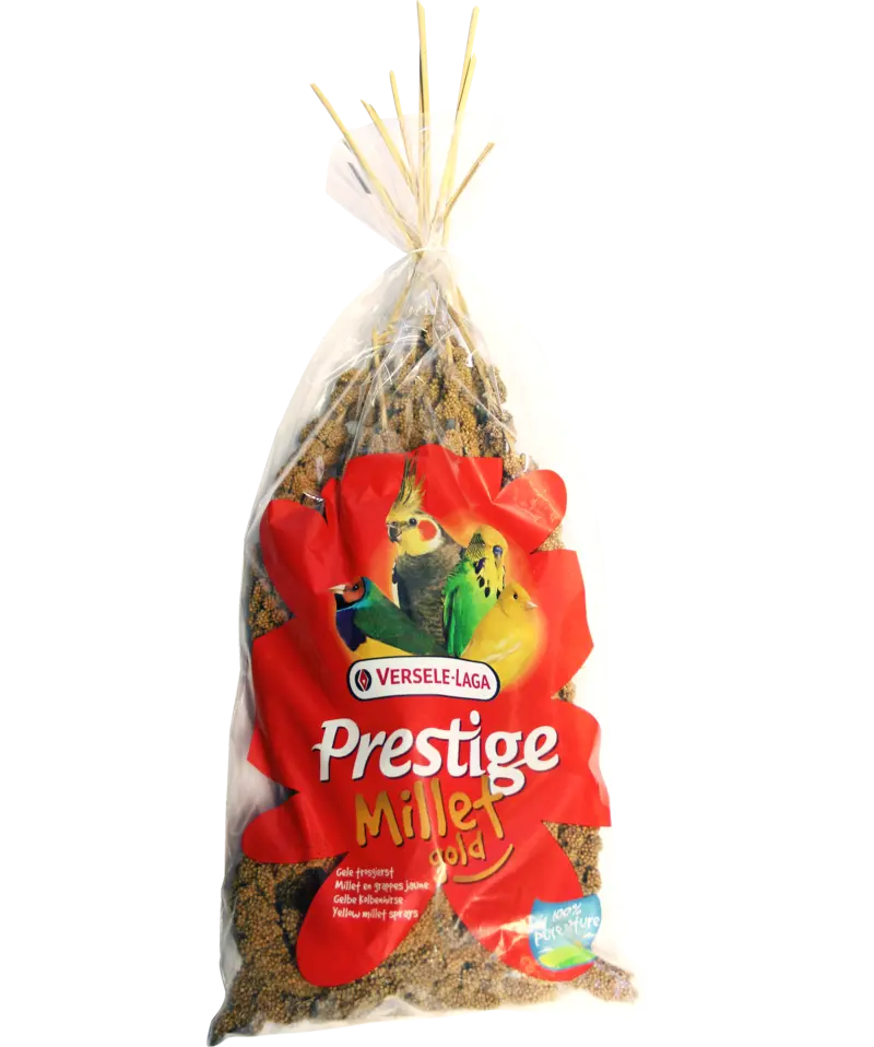 Versele Laga Seminte de Mei 300 G