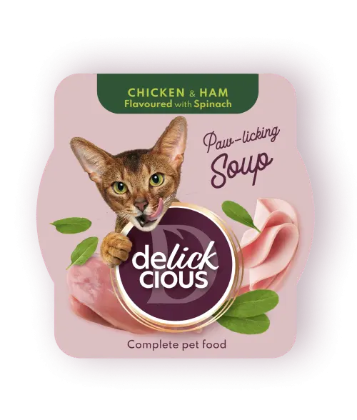 Delickcious Pisica Plic Supa Pui Cu Sunca Si Spanac 80 g