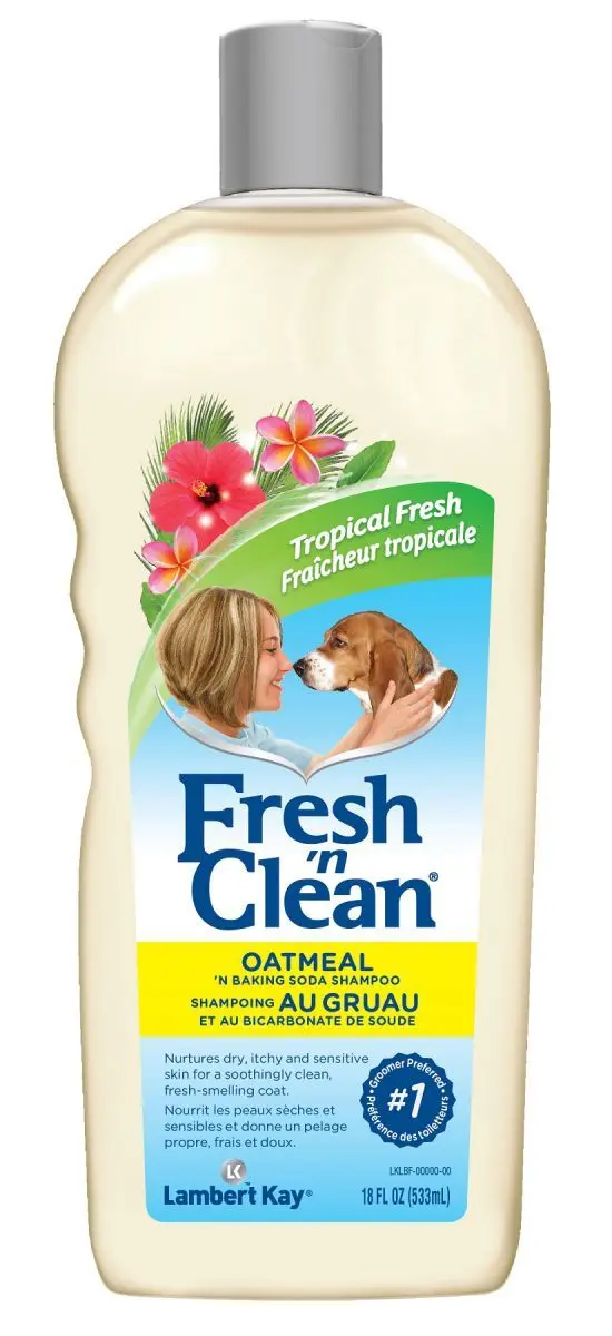 Fresh'N Clean Sampon Soda 533 ml