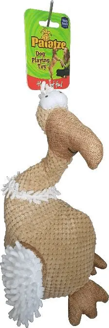 Paiatze Dog Vultur P8013