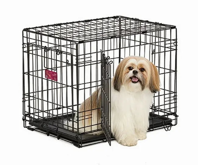 New World Cusca Metalica 61 cm B24