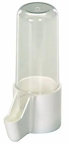 2 GR Adapatoare Pasari Scurt