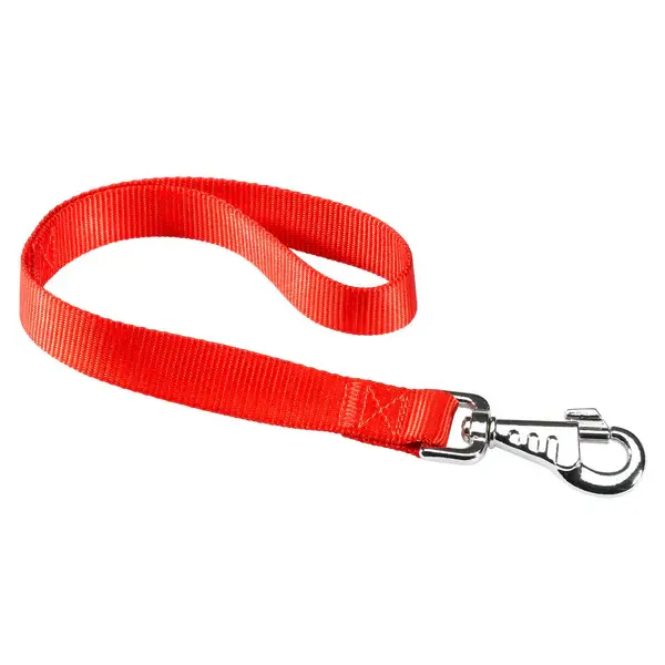 Ferplast Lesa Silon Club GM 2.5X45 cm