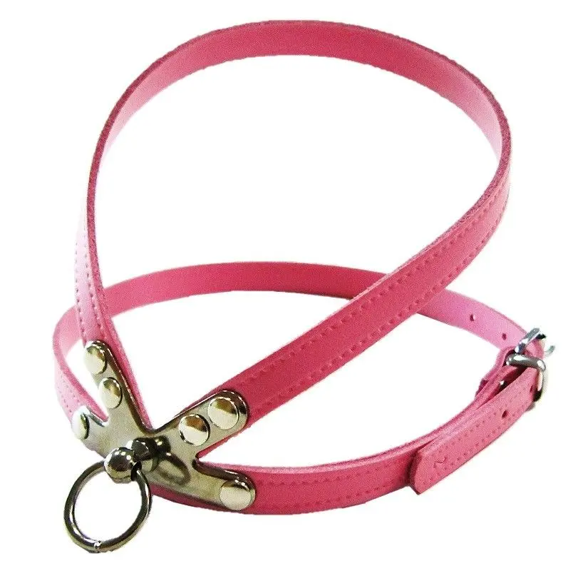 Pet Expert Ham Clasic Roz Nr 1