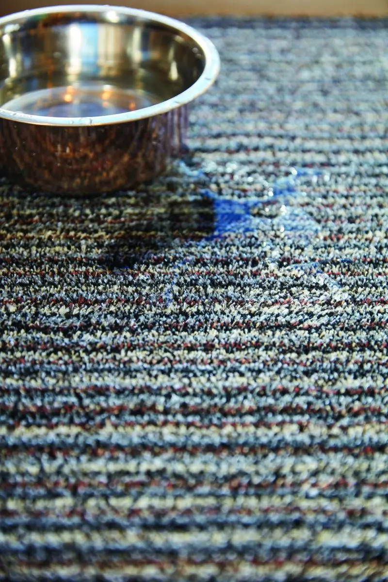 Hug&amp;Rug Covoras 50X75 cm Candy Rock