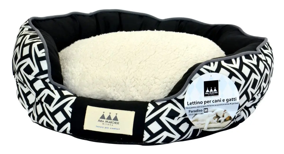 Aria Marchese Pat Paradiso Geometria L