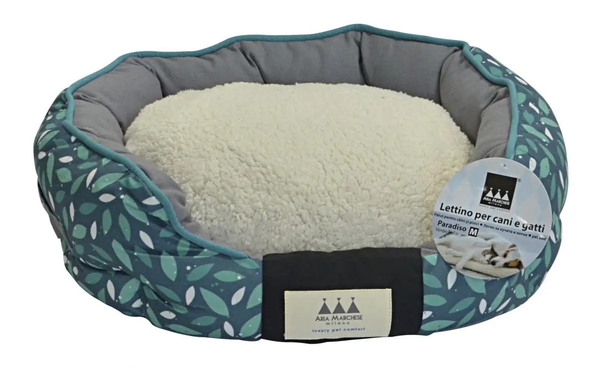 Aria Marchese Pat Paradiso Foliar S