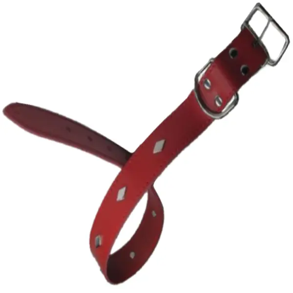 Streetside Zgarda Romburi 1.6X40 cm Rosu Nr 1