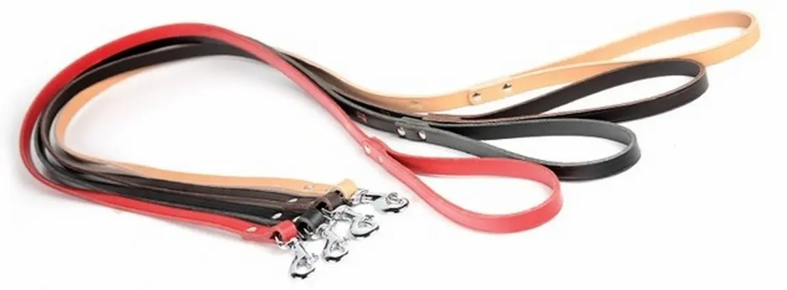 Dingo Lesa Piele 10 mm x 120 cm Maro