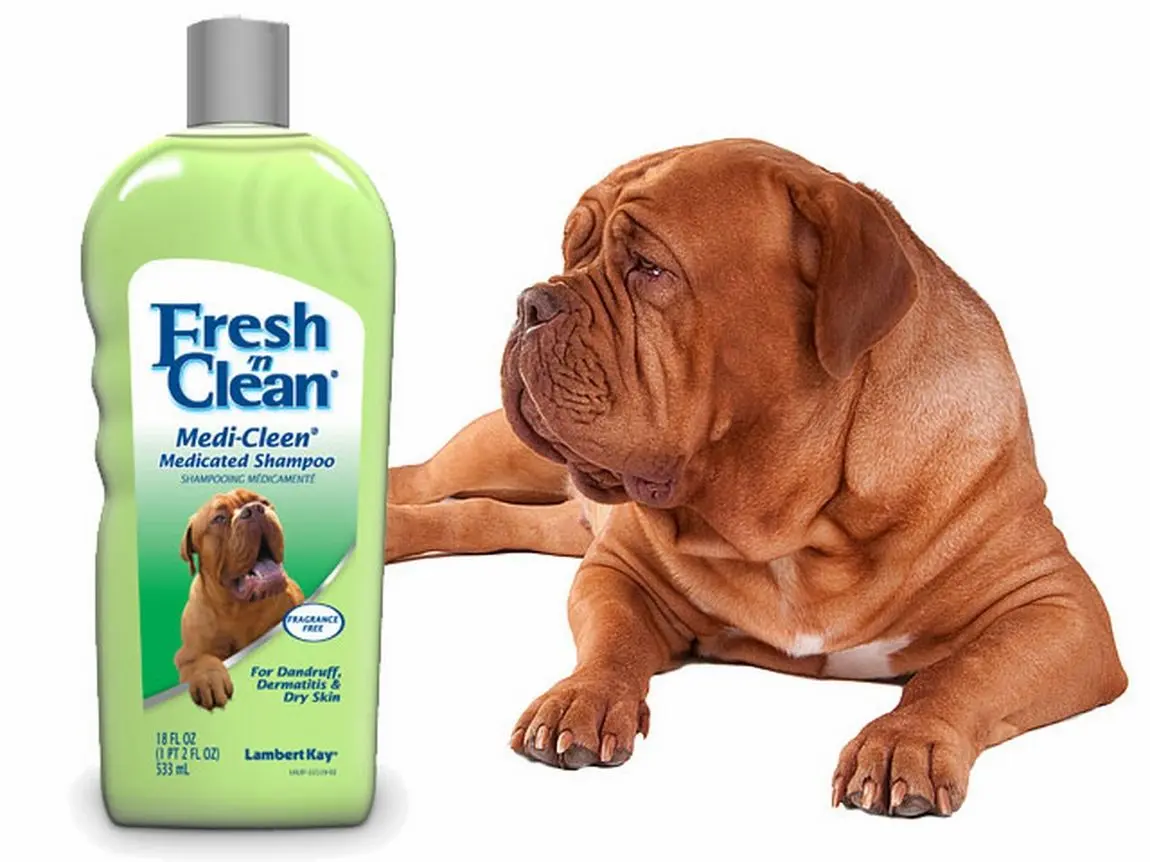 Fresh'N Clean Sampon Medi-Clean 533 ml