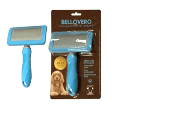 Bellovero Dog Perie M