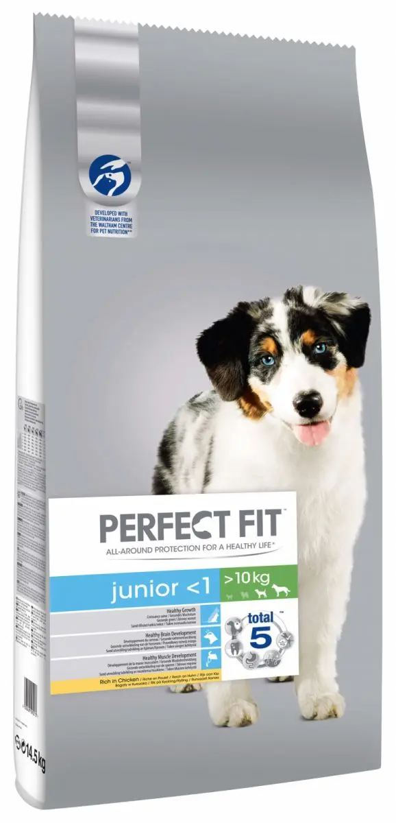 PERFECT FIT DOG JUNIOR PUI