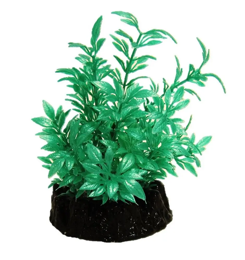 Resun Planta Plastic Bush Turcoaz 10 cm