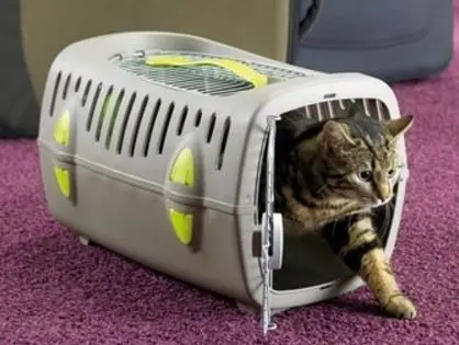 Savic Cusca Transport Touring De Luxe 1 Open Albastra