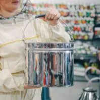 Galeata inox apicola