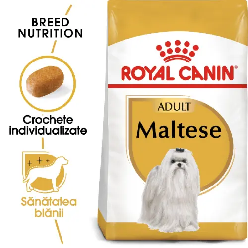 Royal Canin Maltese Adult, hrana uscata pentru caini, 500g