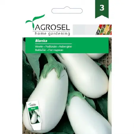 Seminte de vinete Blanka, 3 g