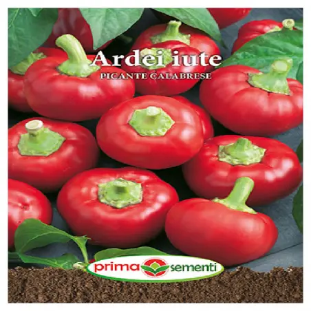Seminte ardei iute Calabrese