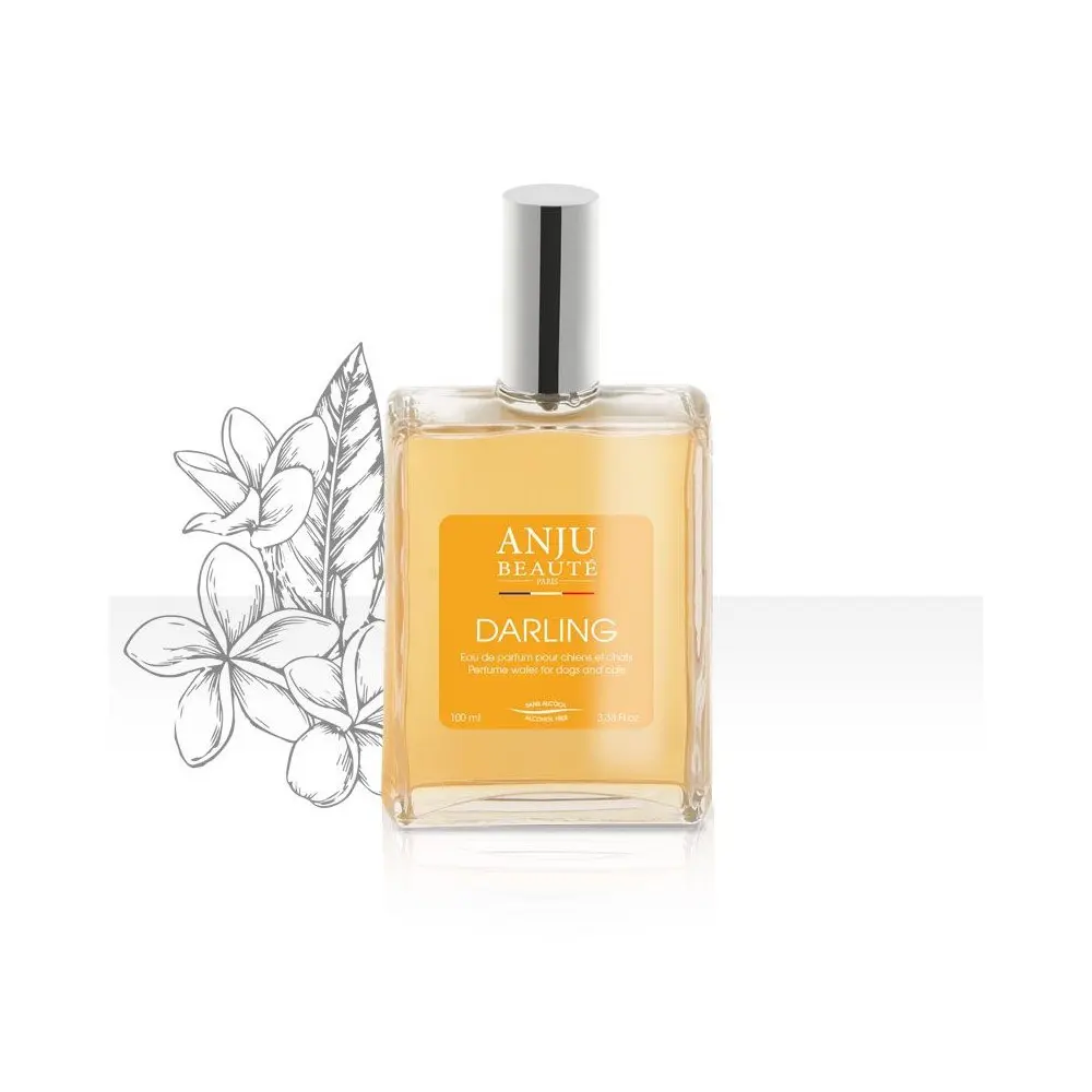 Anju Beaute Parfum Caini, 100 ml - Image 2