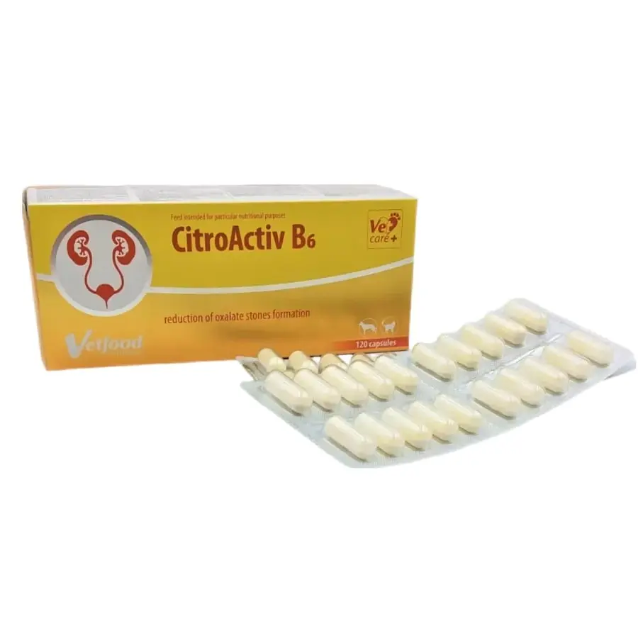 CitroActiv B6 capsule