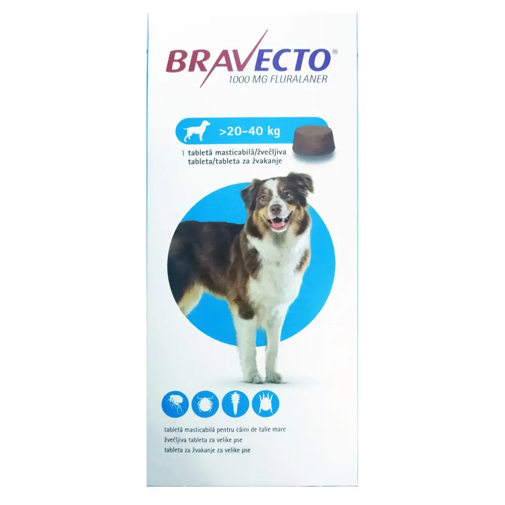 Bravecto Caine, 1 tableta - Image 4
