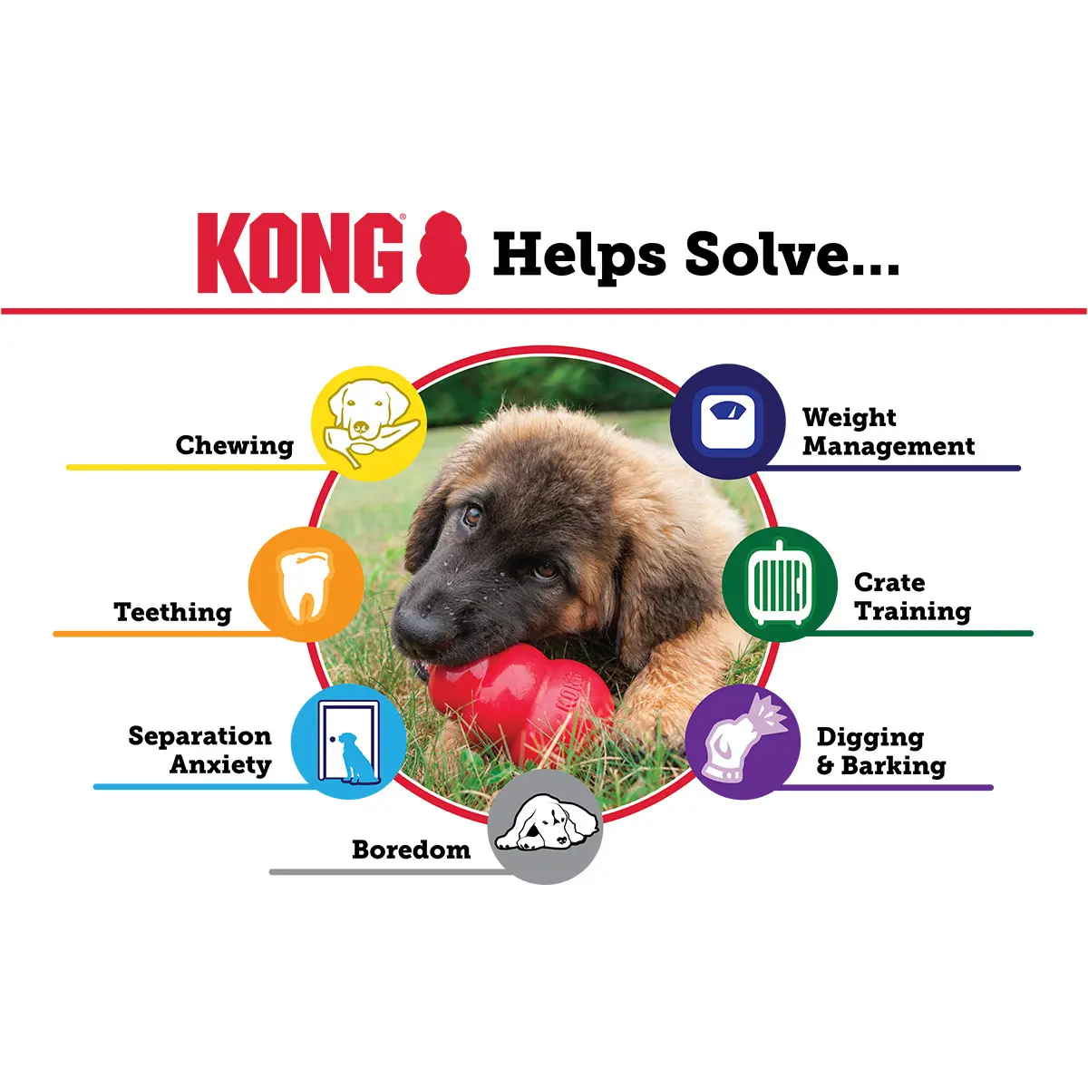 KONG Classic - Image 4