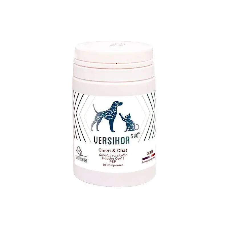 Versikor 500, comprimate