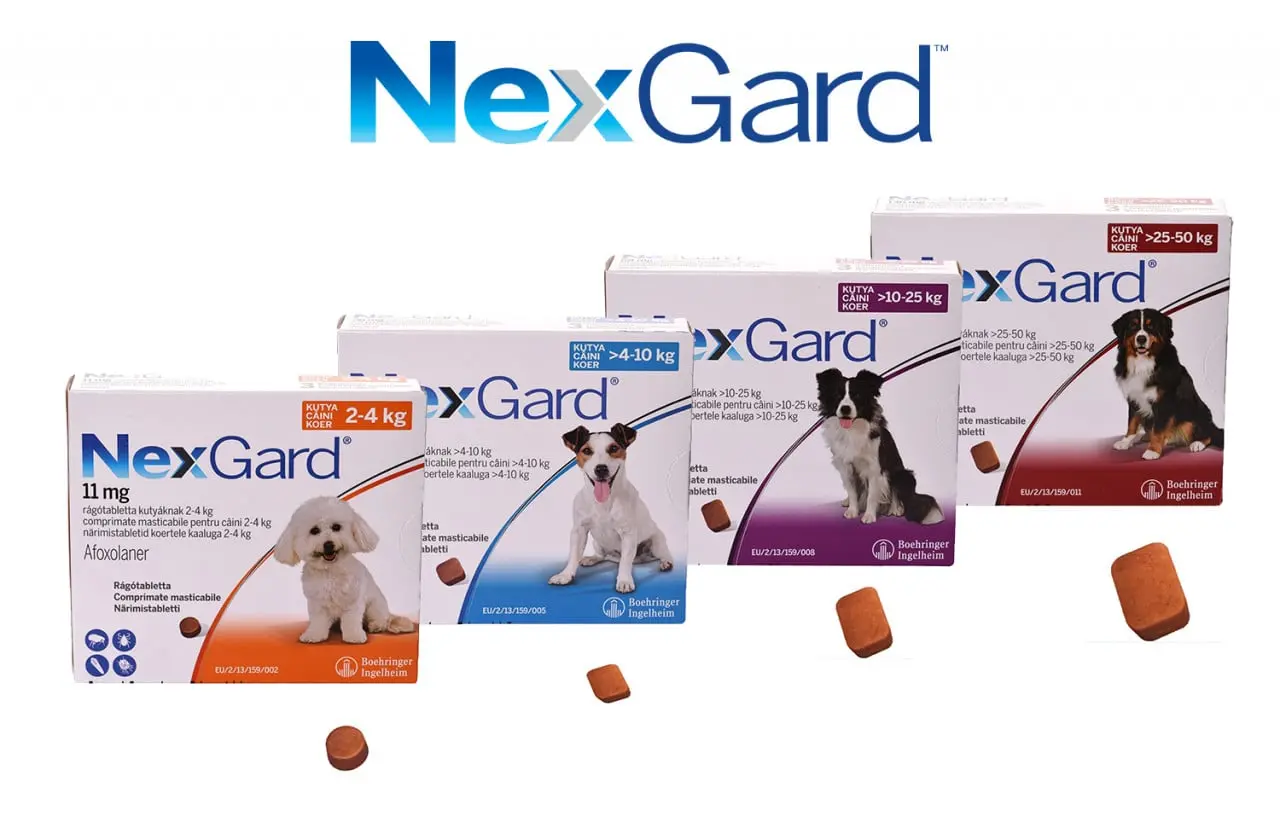 Nexgard Caine, 1 tableta