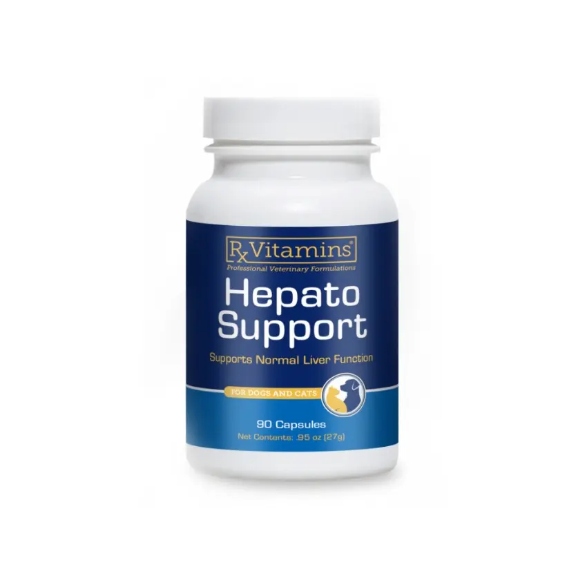 RX Hepato Support