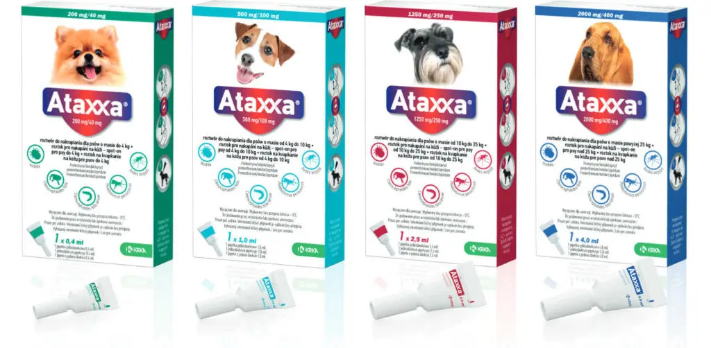 Ataxxa Caine, 1 pipeta