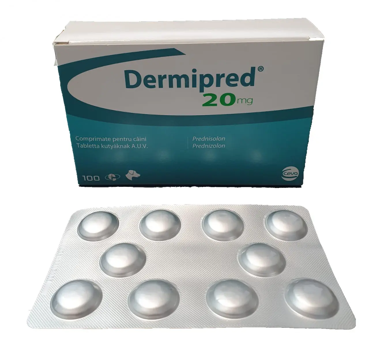 Dermipred 20mg, 10 tablete