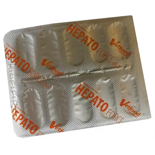 HepatoForce Plus, 10 capsule (Data expirare produs: 13.06.2026)